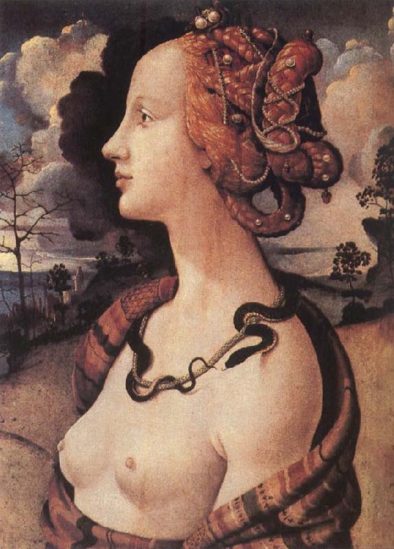 Piero di Cosimo Portrait of Simonetta vespucci